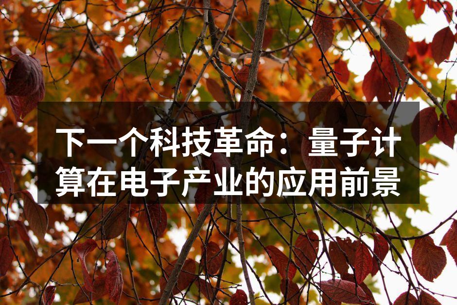 量子计算机的工作原理示意图